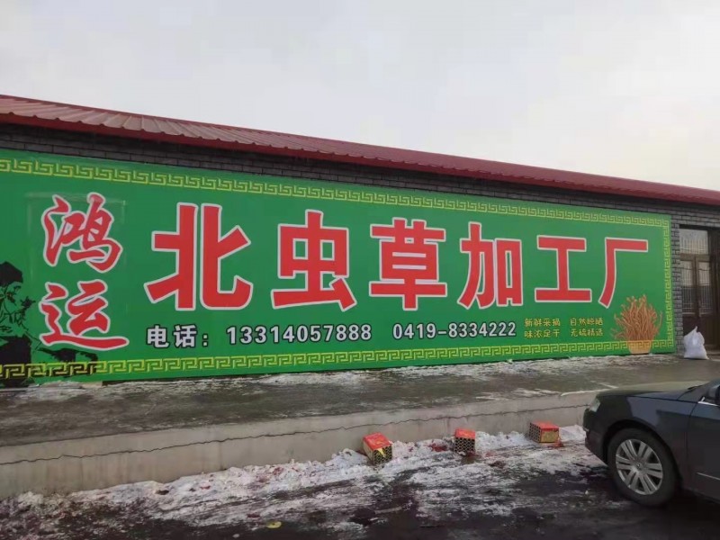 鴻運(yùn)蟲草加工廠